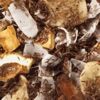 Coco Infusions Saveur Banane Noix de coco