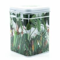 Boite RAINFOREST 150g blanche