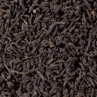 Darjeeling Himalaya