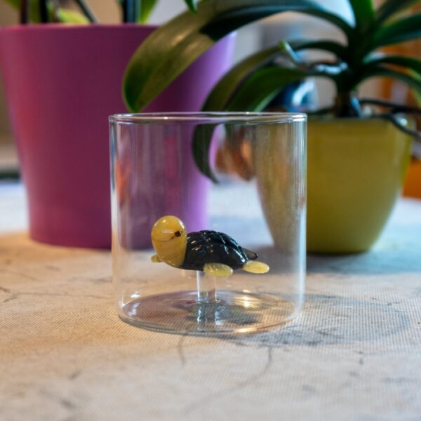 Verre Tortue – Image 2